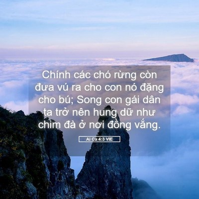 Picture 05 - Ai Ca 4:3 VIE - Chính các chó rừng còn đưa vú ra cho con - Bible Verse Picture