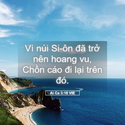 Picture 05 - Ai Ca 5:18 VIE - Vì núi Si-ôn đã trở nên hoang vu, Chồn - Bible Verse Picture