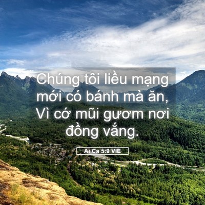 Picture 05 - Ai Ca 5:9 VIE - Chúng tôi liều mạng mới có bánh mà - Bible Verse Picture