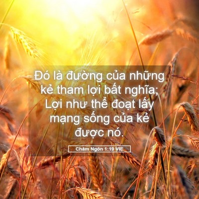 Picture 05 - Châm Ngôn 1:19 VIE - Đó là đường của những kẻ tham lợi - Bible Verse Picture
