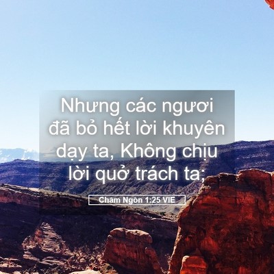 Picture 05 - Châm Ngôn 1:25 VIE - Nhưng các ngươi đã bỏ hết lời khuyên - Bible Verse Picture