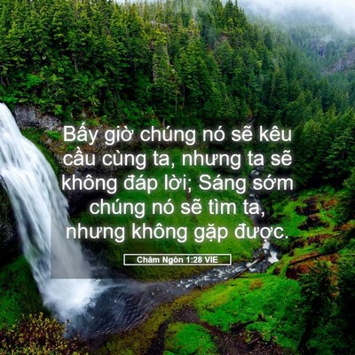 Picture 05 - Châm Ngôn 1:28 VIE - Bấy giờ chúng nó sẽ kêu cầu cùng ta, - Bible Verse Picture