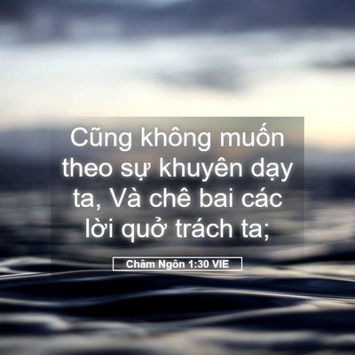 Picture 05 - Châm Ngôn 1:30 VIE - Cũng không muốn theo sự khuyên dạy ta, - Bible Verse Picture