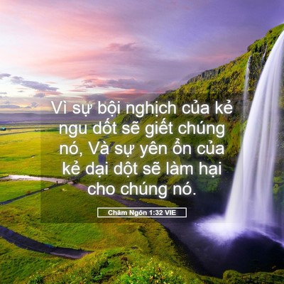 Picture 05 - Châm Ngôn 1:32 VIE - Vì sự bội nghịch của kẻ ngu dốt sẽ - Bible Verse Picture