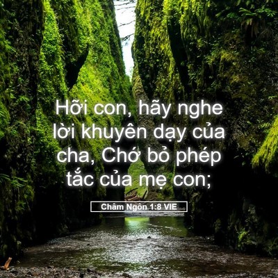 Picture 05 - Châm Ngôn 1:8 VIE - Hỡi con, hãy nghe lời khuyên dạy của - Bible Verse Picture