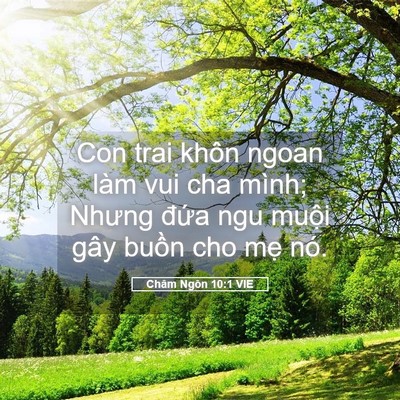 Picture 05 - Châm Ngôn 10:1 VIE - Con trai khôn ngoan làm vui cha mình; Nhưng - Bible Verse Picture