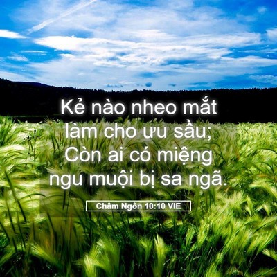 Picture 05 - Châm Ngôn 10:10 VIE - Kẻ nào nheo mắt làm cho ưu sầu; Còn ai - Bible Verse Picture