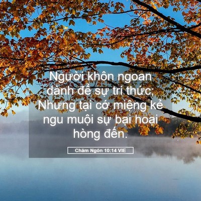 Picture 05 - Châm Ngôn 10:14 VIE - Người khôn ngoan dành để sự tri thức; - Bible Verse Picture