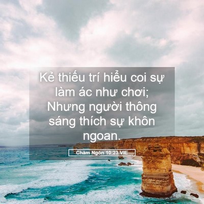 Picture 05 - Châm Ngôn 10:23 VIE - Kẻ thiếu trí hiểu coi sự làm ác như - Bible Verse Picture