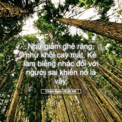 Picture 05 - Châm Ngôn 10:26 VIE - Như giấm ghê răng, như khói cay mắt, - Bible Verse Picture