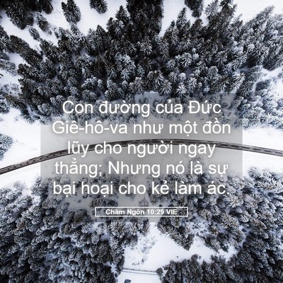 Picture 05 - Châm Ngôn 10:29 VIE - Con đường của Đức Giê-hô-va như một - Bible Verse Picture