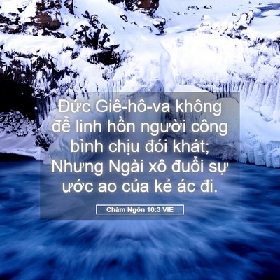 Picture 05 - Châm Ngôn 10:3 VIE - Đức Giê-hô-va không để linh hồn - Bible Verse Picture