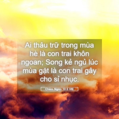 Picture 05 - Châm Ngôn 10:5 VIE - Ai thâu trữ trong mùa hè là con trai khôn - Bible Verse Picture