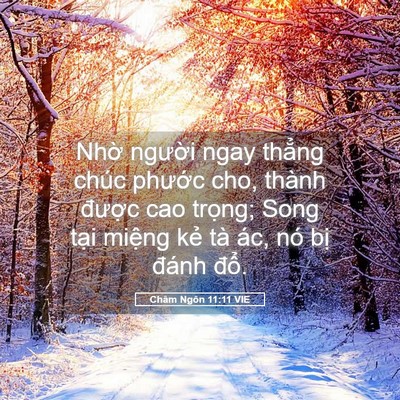 Picture 05 - Châm Ngôn 11:11 VIE - Nhờ người ngay thẳng chúc phước cho, - Bible Verse Picture