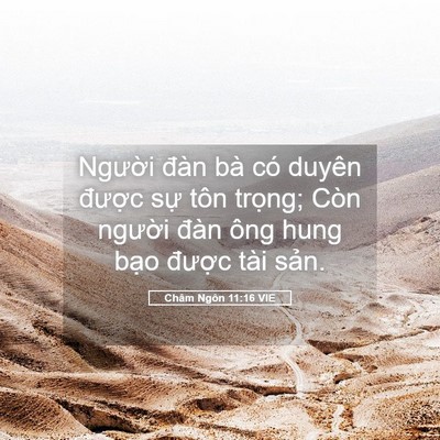 Picture 05 - Châm Ngôn 11:16 VIE - Người đàn bà có duyên được sự tôn - Bible Verse Picture