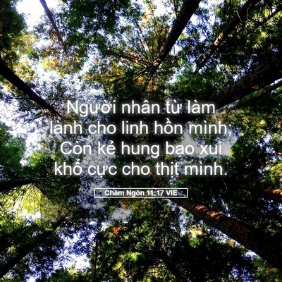 Picture 05 - Châm Ngôn 11:17 VIE - Người nhân từ làm lành cho linh hồn - Bible Verse Picture