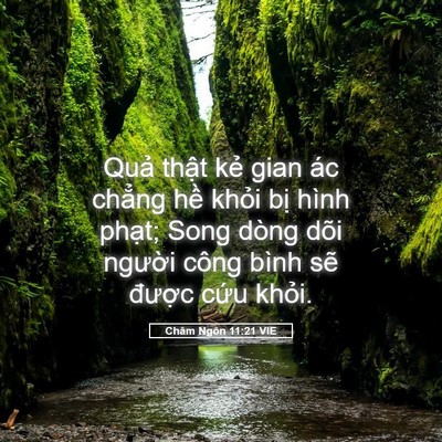 Picture 05 - Châm Ngôn 11:21 VIE - Quả thật kẻ gian ác chẳng hề khỏi - Bible Verse Picture