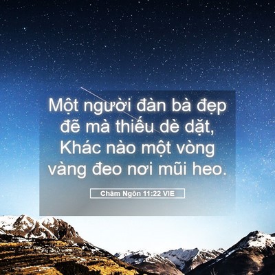 Picture 05 - Châm Ngôn 11:22 VIE - Một người đàn bà đẹp đẽ mà thiếu - Bible Verse Picture