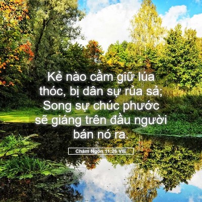 Picture 05 - Châm Ngôn 11:26 VIE - Kẻ nào cầm giữ lúa thóc, bị dân sự - Bible Verse Picture