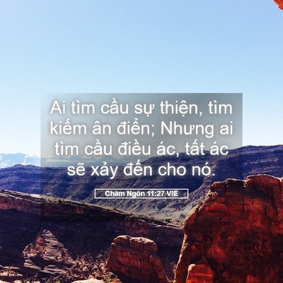 Picture 05 - Châm Ngôn 11:27 VIE - Ai tìm cầu sự thiện, tìm kiếm ân - Bible Verse Picture
