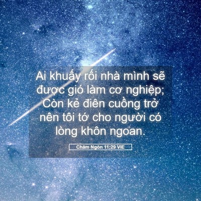 Picture 05 - Châm Ngôn 11:29 VIE - Ai khuấy rối nhà mình sẽ được gió - Bible Verse Picture