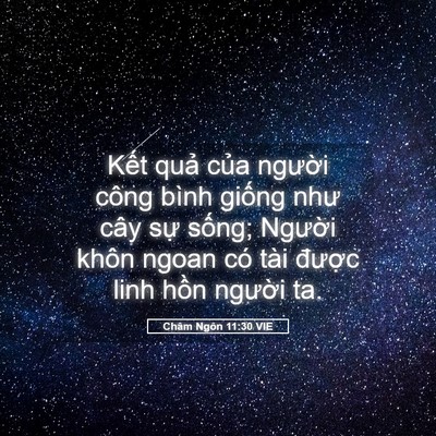 Picture 05 - Châm Ngôn 11:30 VIE - Kết quả của người công bình giống - Bible Verse Picture