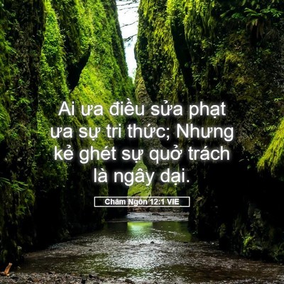 Picture 05 - Châm Ngôn 12:1 VIE - Ai ưa điều sửa phạt ưa sự tri thức; - Bible Verse Picture