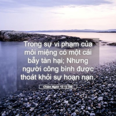 Picture 05 - Châm Ngôn 12:13 VIE - Trong sự vi phạm của môi miệng có một - Bible Verse Picture