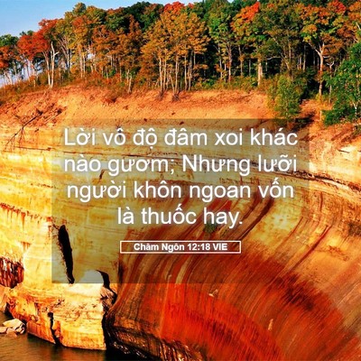 Picture 05 - Châm Ngôn 12:18 VIE - Lời vô độ đâm xoi khác nào gươm; - Bible Verse Picture