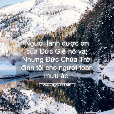 Picture 05 - Châm Ngôn 12:2 VIE - Người lành được ơn của Đức - Bible Verse Picture