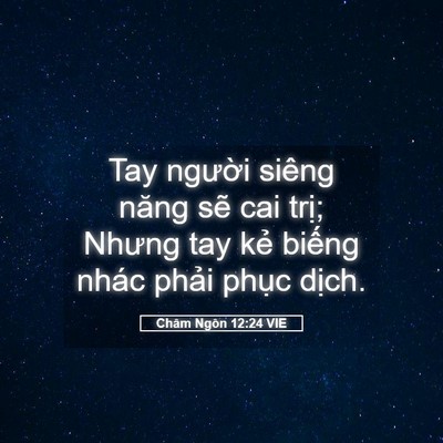 Picture 05 - Châm Ngôn 12:24 VIE - Tay người siêng năng sẽ cai trị; Nhưng - Bible Verse Picture