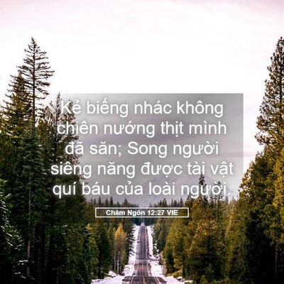 Picture 05 - Châm Ngôn 12:27 VIE - Kẻ biếng nhác không chiên nướng thịt - Bible Verse Picture