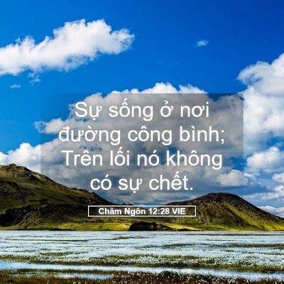 Picture 05 - Châm Ngôn 12:28 VIE - Sự sống ở nơi đường công bình; Trên - Bible Verse Picture