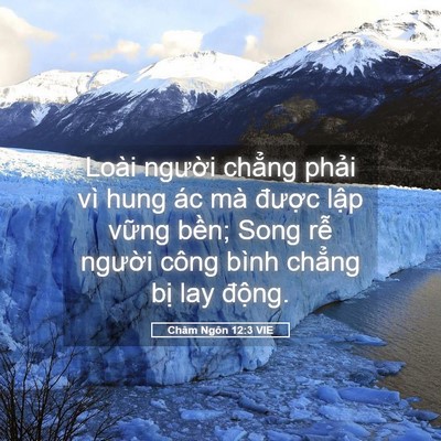 Picture 05 - Châm Ngôn 12:3 VIE - Loài người chẳng phải vì hung ác mà - Bible Verse Picture