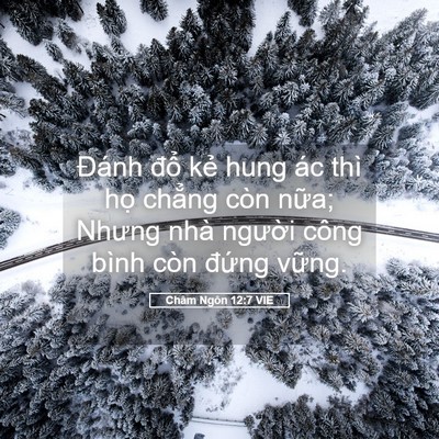 Picture 05 - Châm Ngôn 12:7 VIE - Đánh đổ kẻ hung ác thì họ chẳng còn - Bible Verse Picture