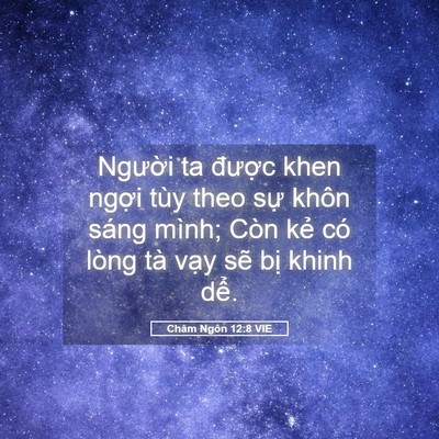 Picture 05 - Châm Ngôn 12:8 VIE - Người ta được khen ngợi tùy theo sự - Bible Verse Picture
