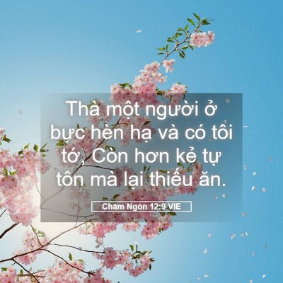 Picture 05 - Châm Ngôn 12:9 VIE - Thà một người ở bực hèn hạ và có - Bible Verse Picture