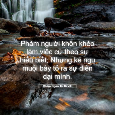 Picture 05 - Châm Ngôn 13:16 VIE - Phàm người khôn khéo làm việc cứ theo - Bible Verse Picture