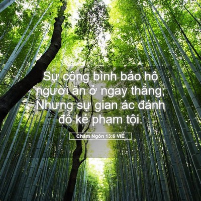Picture 05 - Châm Ngôn 13:6 VIE - Sự công bình bảo hộ người ăn ở ngay - Bible Verse Picture