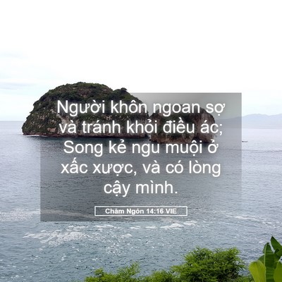 Picture 05 - Châm Ngôn 14:16 VIE - Người khôn ngoan sợ và tránh khỏi - Bible Verse Picture