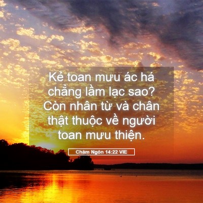 Picture 05 - Châm Ngôn 14:22 VIE - Kẻ toan mưu ác há chẳng lầm lạc sao? - Bible Verse Picture