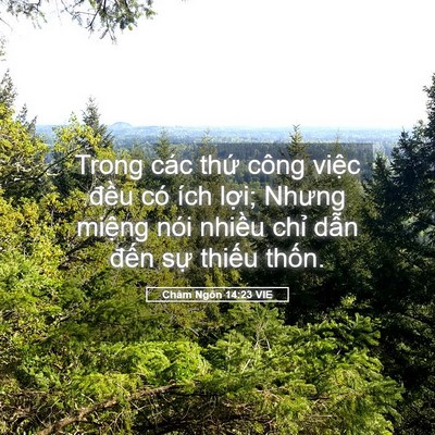 Picture 05 - Châm Ngôn 14:23 VIE - Trong các thứ công việc đều có ích - Bible Verse Picture