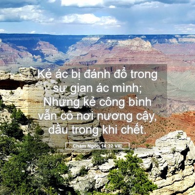 Picture 05 - Châm Ngôn 14:32 VIE - Kẻ ác bị đánh đổ trong sự gian ác - Bible Verse Picture