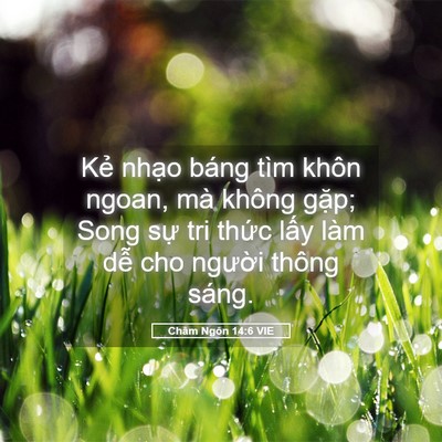 Picture 05 - Châm Ngôn 14:6 VIE - Kẻ nhạo báng tìm khôn ngoan, mà không - Bible Verse Picture