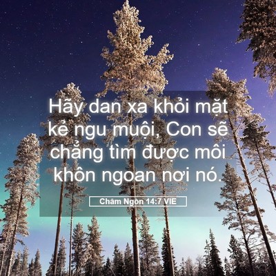 Picture 05 - Châm Ngôn 14:7 VIE - Hãy dan xa khỏi mặt kẻ ngu muội, Con - Bible Verse Picture