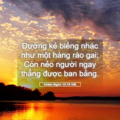 Picture 05 - Châm Ngôn 15:19 VIE - Đường kẻ biếng nhác như một hàng - Bible Verse Picture