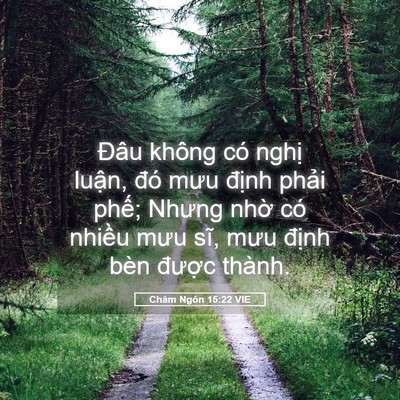 Picture 05 - Châm Ngôn 15:22 VIE - Đâu không có nghị luận, đó mưu định - Bible Verse Picture