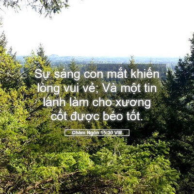 Picture 05 - Châm Ngôn 15:30 VIE - Sự sáng con mắt khiến lòng vui vẻ; Và - Bible Verse Picture