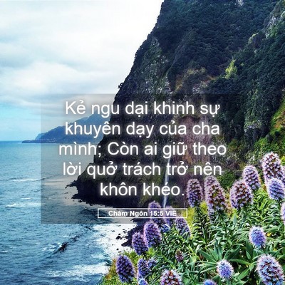 Picture 05 - Châm Ngôn 15:5 VIE - Kẻ ngu dại khinh sự khuyên dạy của cha - Bible Verse Picture