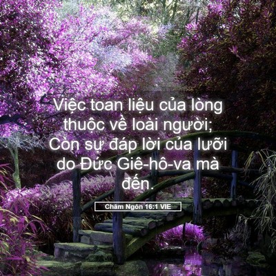 Picture 05 - Châm Ngôn 16:1 VIE - Việc toan liệu của lòng thuộc về loài - Bible Verse Picture